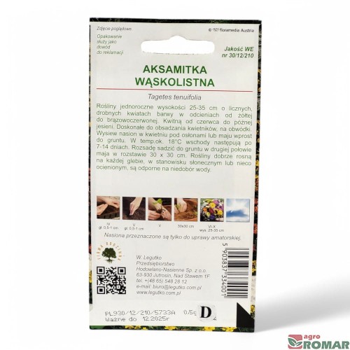 Aksamitka Wąskolistna(2).jpg