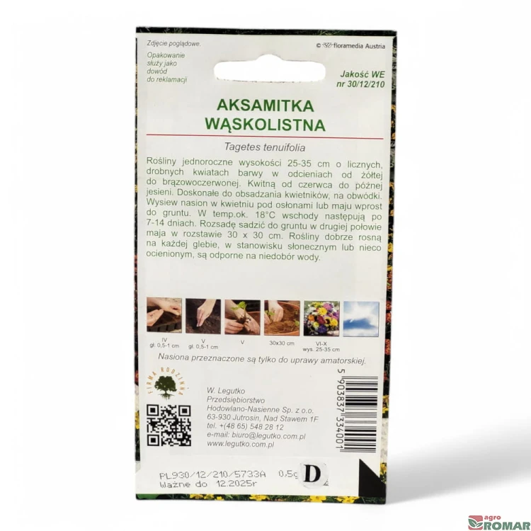 Aksamitka Wąskolistna(2).jpg