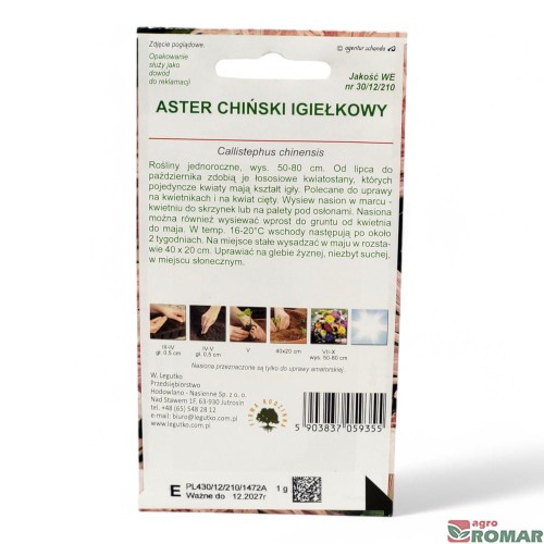 Aster Chiński Igiełkowy(2).jpg