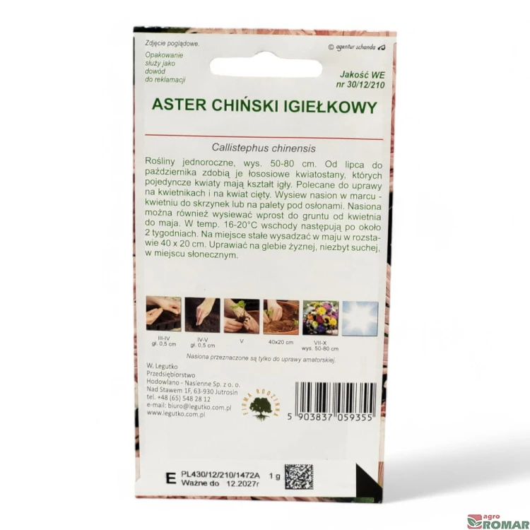 Aster Chiński Igiełkowy(2).jpg