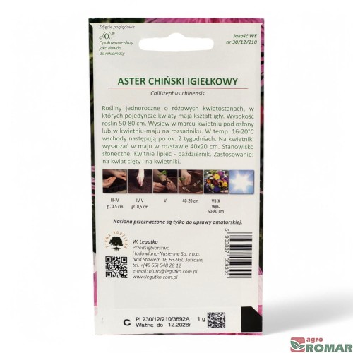 Aster Chiński Igełkowy (2).jpg