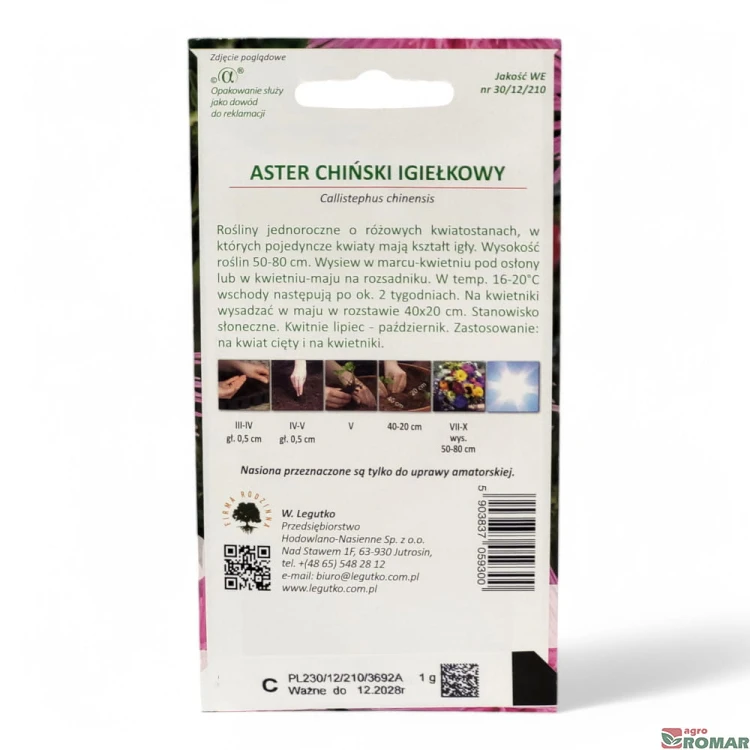 Aster Chiński Igełkowy (2).jpg