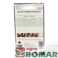 Aster Chiński Książęcy(2).jpg