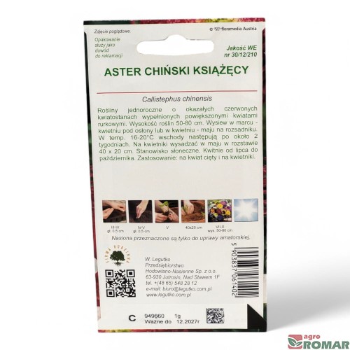 Aster Chiński Książęcy(2).jpg