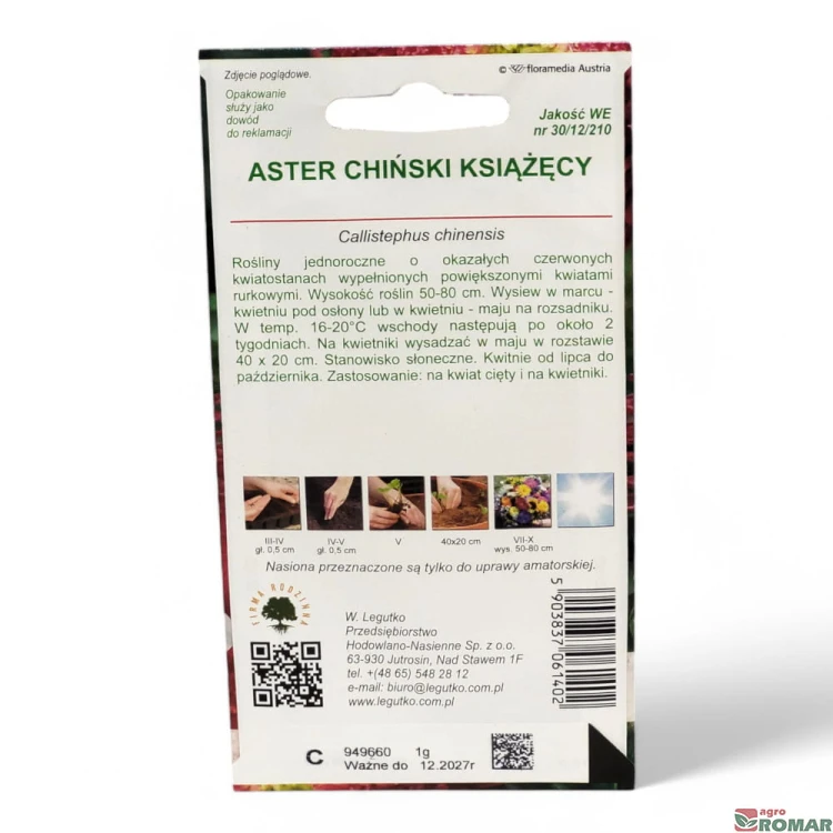 Aster Chiński Książęcy(2).jpg