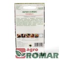 Aster Chiński Książęcy mix(2).jpg
