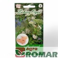 Arcydzięgiel litwor.jpg