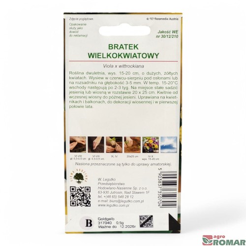 Bratek wielokwiatowy żółty(2)-Photoroom.jpg