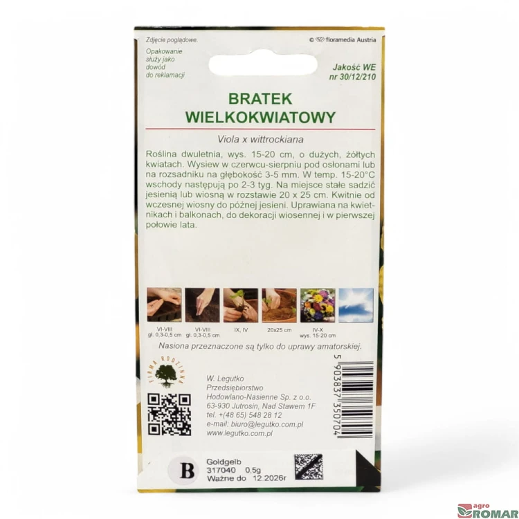 Bratek wielokwiatowy żółty(2)-Photoroom.jpg
