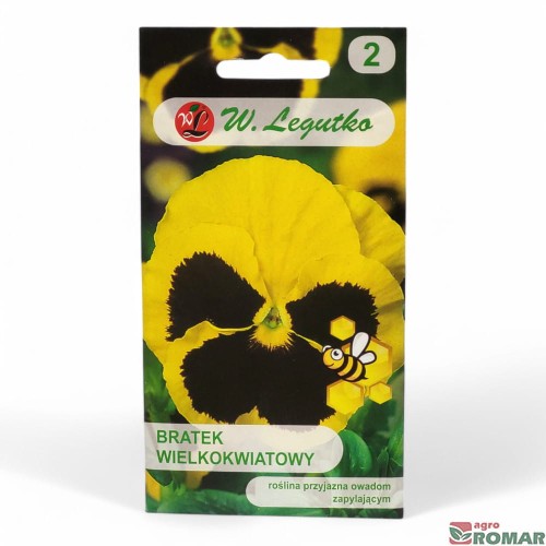 Bratek wielokwiatowy zółto-czarny.jpg