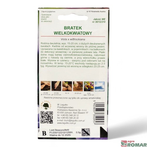 Bratek wielokwiatowy foletowy(2).jpg