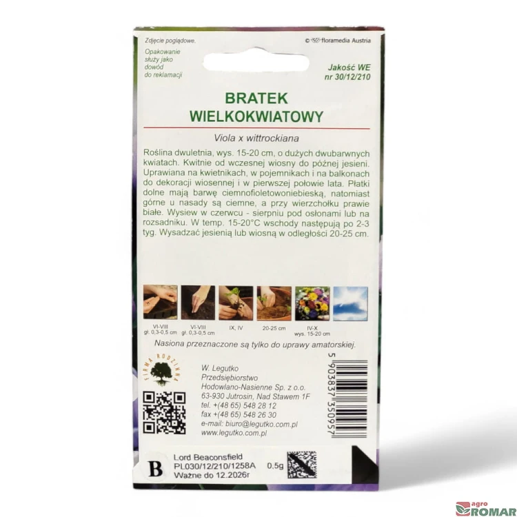 Bratek wielokwiatowy foletowy(2).jpg