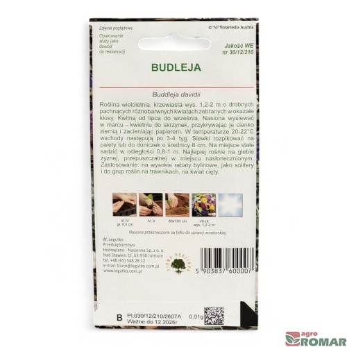 Buleja(2).jpg