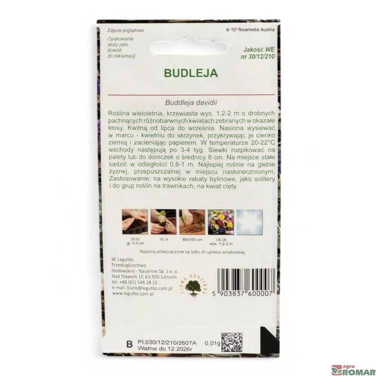 Buleja(2).jpg