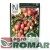 Nelson Garden Funnyplums Rosy Pink F1.jpg