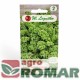 Jarmuż Dwarf Green Curled.jpg