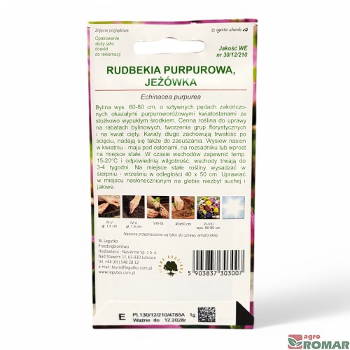 Rudbekia purpurowa, jeżówka (2).jpg