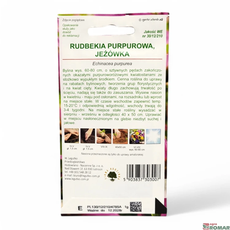 Rudbekia purpurowa, jeżówka (2).jpg