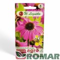 Rudbekia purpurowa, jeżówka.jpg