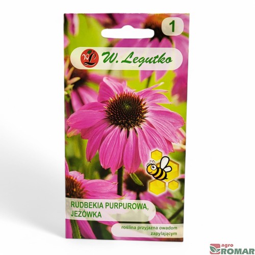 Rudbekia purpurowa, jeżówka.jpg