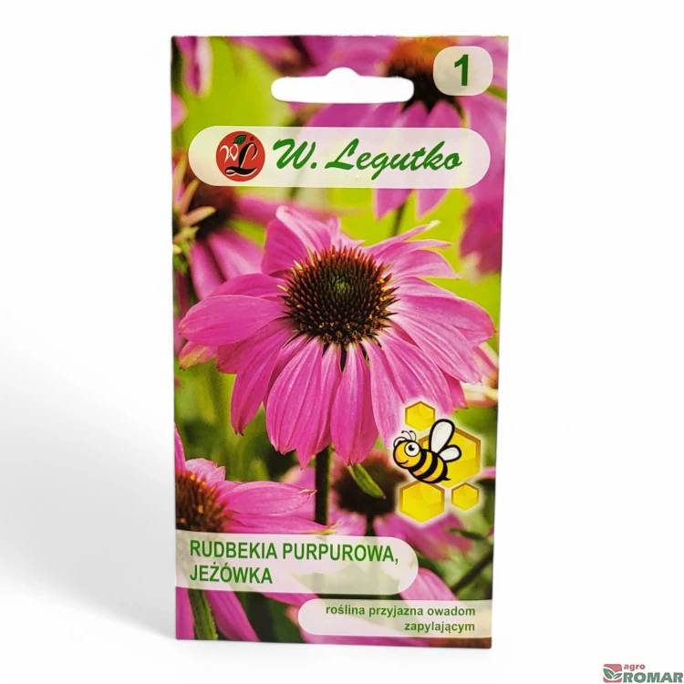Rudbekia purpurowa, jeżówka.jpg