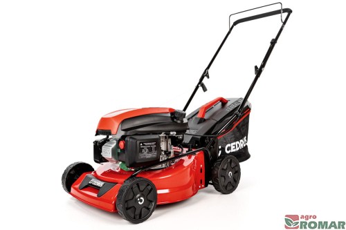 CEDKS42_2025_01.jpg