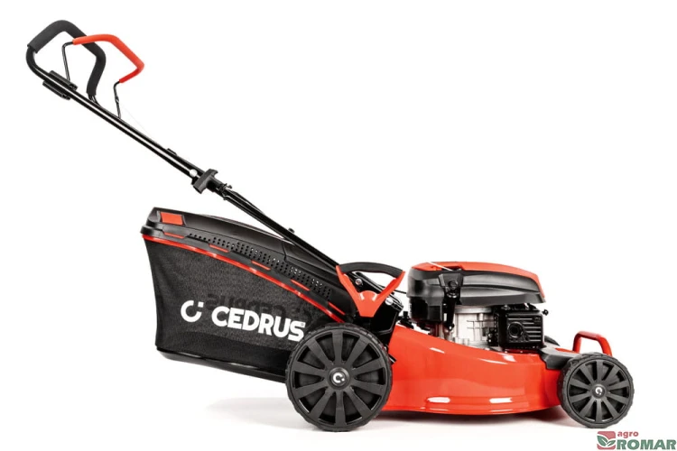 CEDKS48_2025_04.jpg