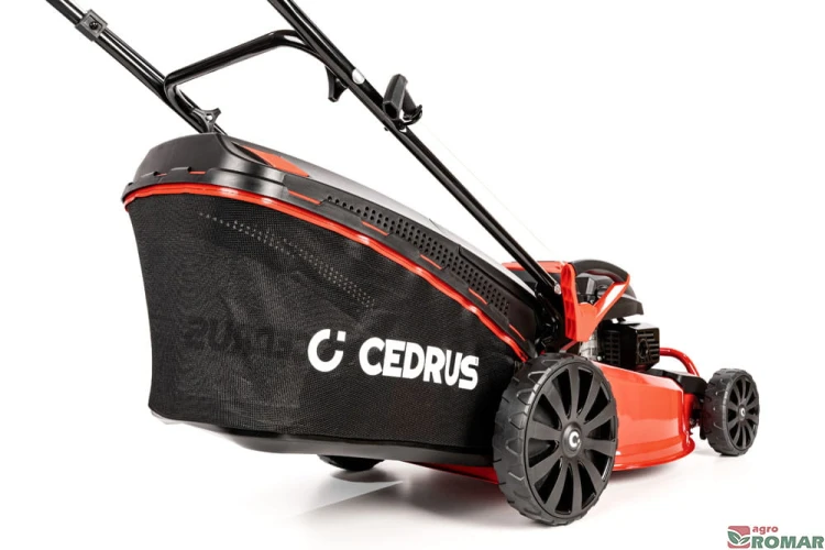 CEDKS48_2025_05.jpg