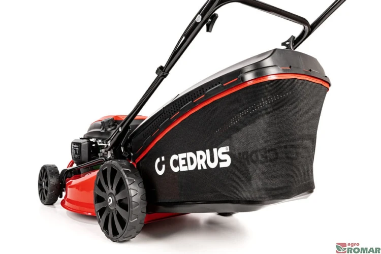 CEDKS48_2025_09.jpg