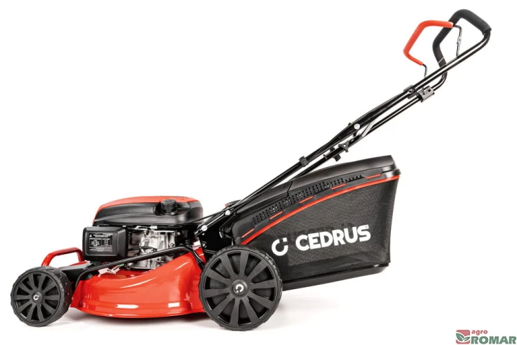 CEDKS48_2025_10.jpg