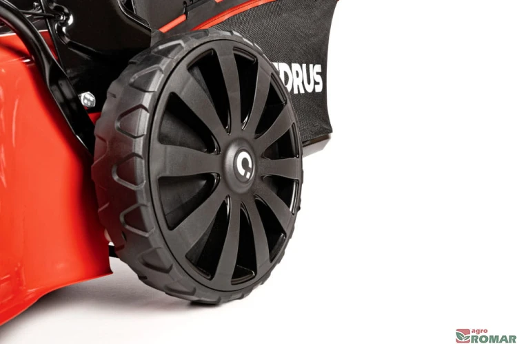 CEDKS48_2025_15.jpg