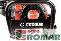 CEDRUSGLX540_17.jpg