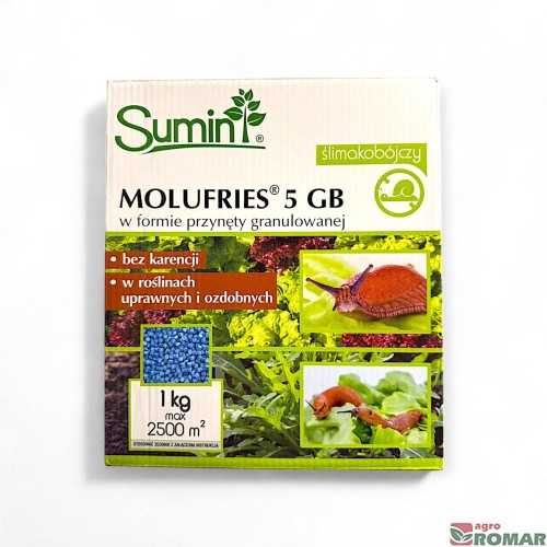 Molufries-5GB-Sumin.jpg