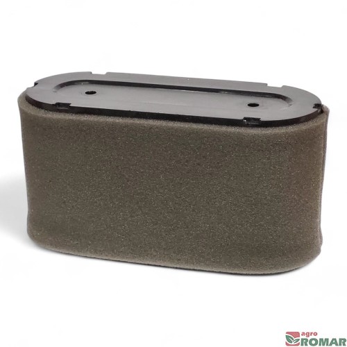 Filtr powietrza AL-KO PRO 450.jpg