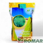 Mieszanka traw Zielona Pustynia Agronas 5kg 