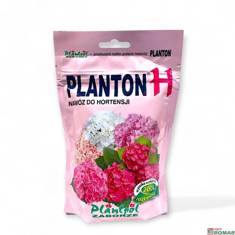Planton H-.jpg