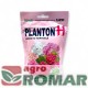 Planton H-.jpg
