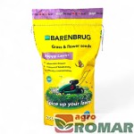 Mieszanka nasion traw z kwiatami Happy Lawn Barenbrug 5 kg (250 m²)