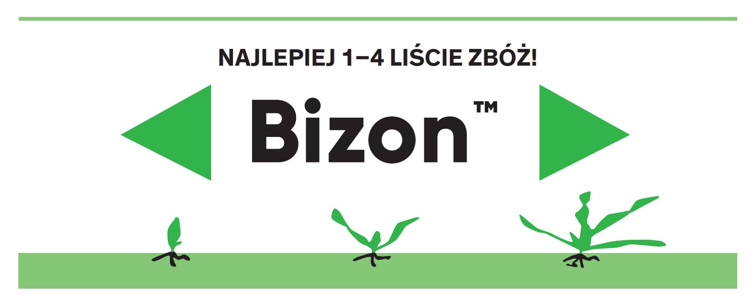 Bizon czas stosowania