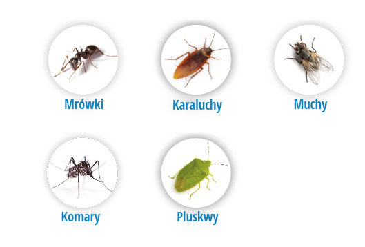Draker 10.2 działanie owady