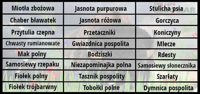 Bizon na chwasty tabela