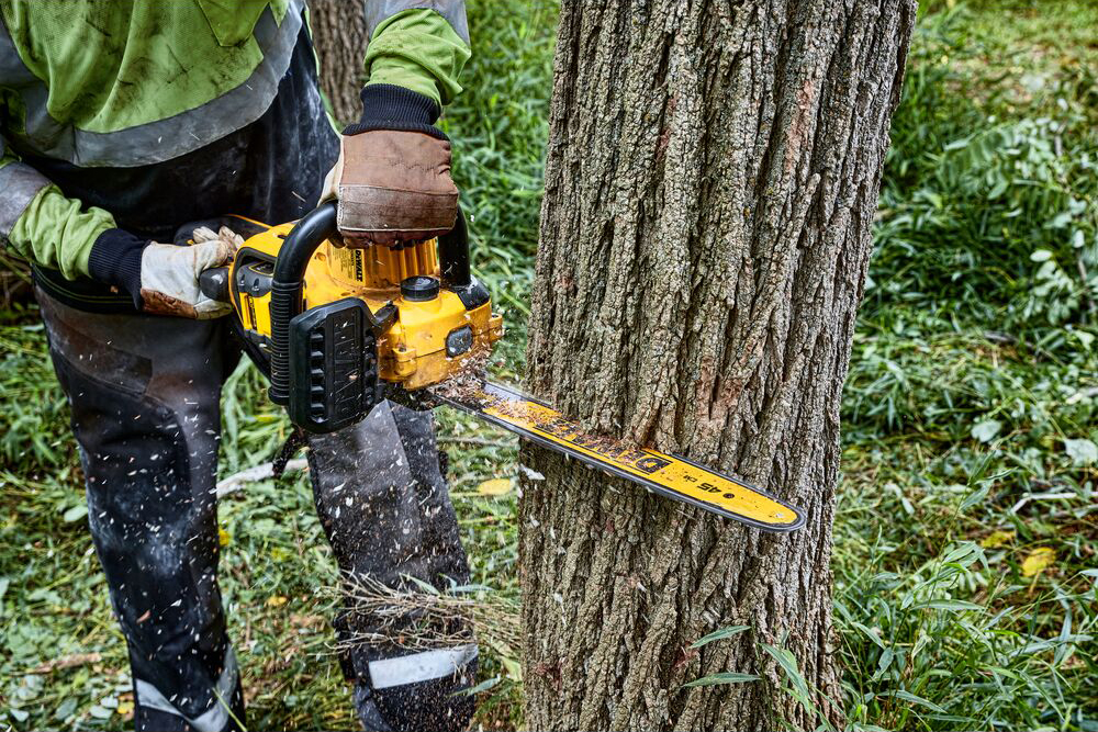 Pilarka łańcuchowa DeWalt DCMCS574X1-QW