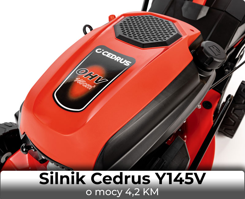 Silnik Cedrus Y145V w kosiarce Cedrus KS48
