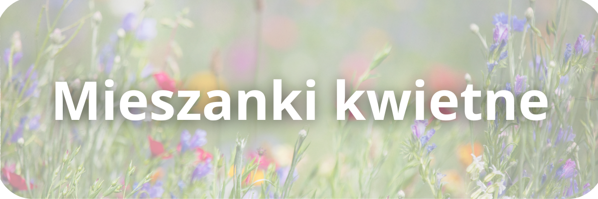Mieszanki kwietne, kwietna łąka