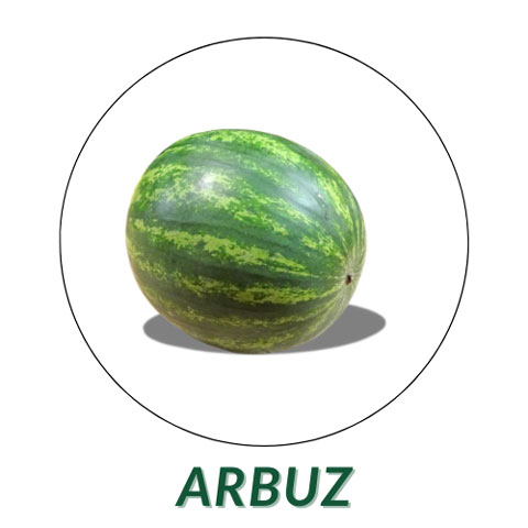 Arbuz