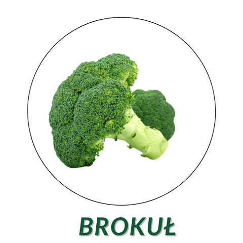 Brokuł