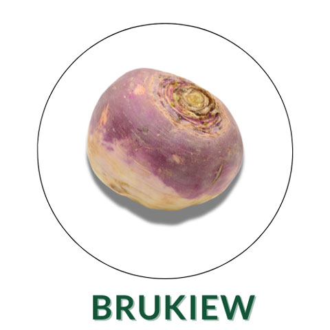 Brukiew