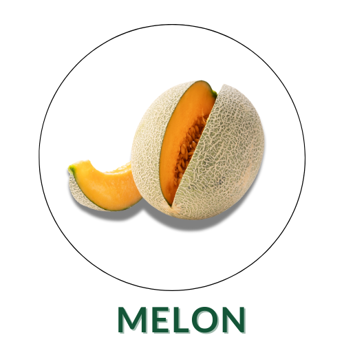 Melon