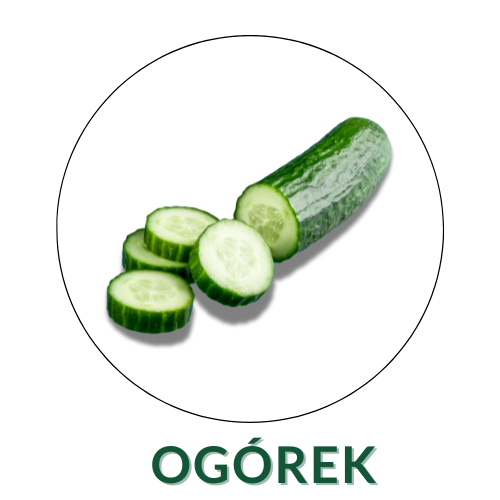 Ogórek