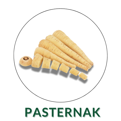 Pasternak